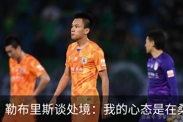 勒布里斯谈处境：我的心态是在桑德兰工作十年，会付出一切