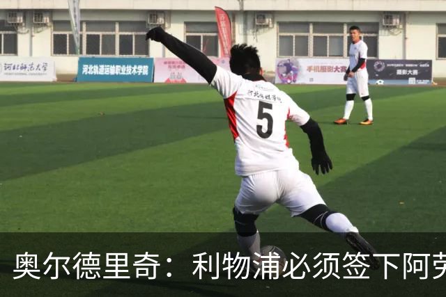 奥尔德里奇：利物浦必须签下阿劳霍