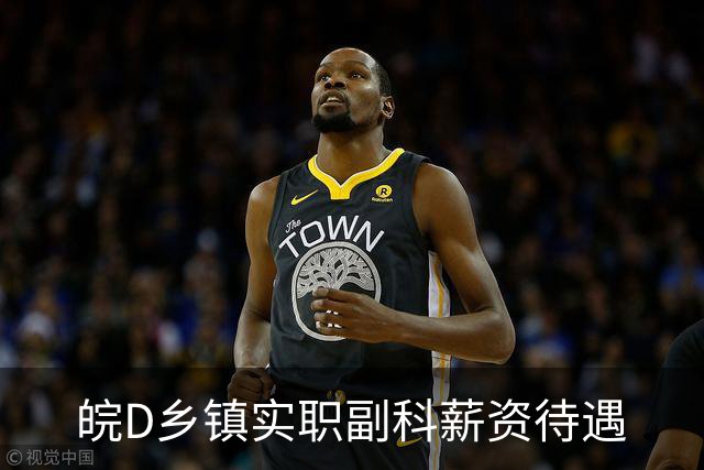皖D乡镇实职副科薪资待遇